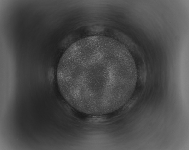 X0000100900758200807151118