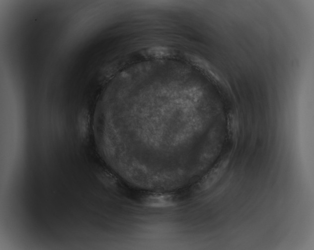 X0000100900760200807151118