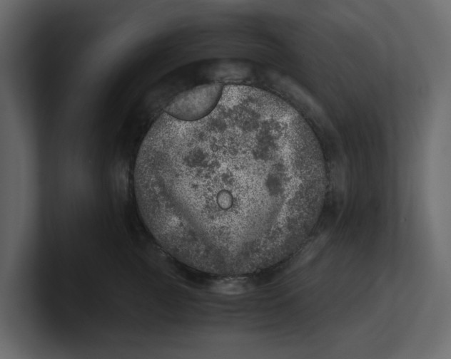 X0000100900761200807151118