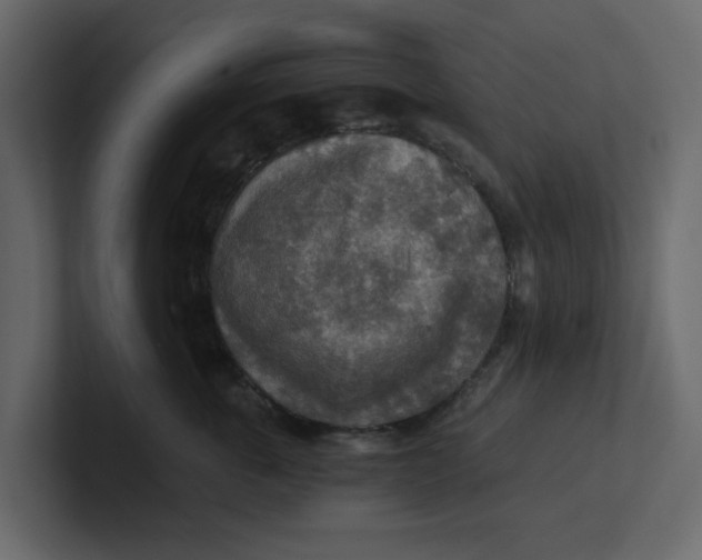 X0000100900763200807151118