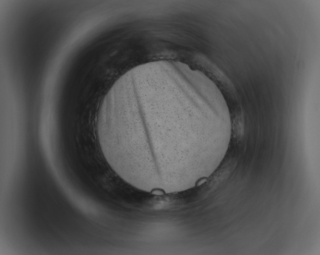 X0000100900764200807151118