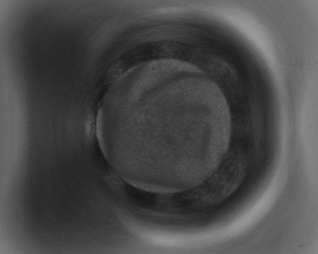 X0000100900766200807151118