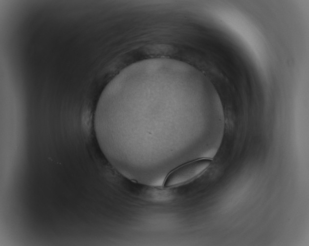 X0000100900767200807151118