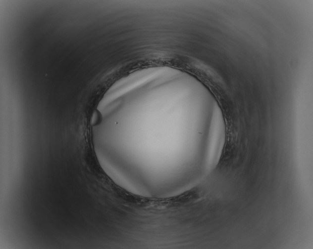 X0000100900773200807151117