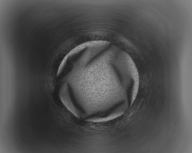 X0000100900774200807151117