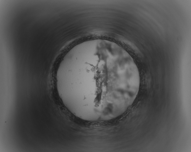 X0000100900776200807151117