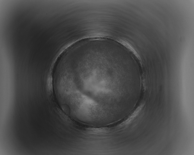 X0000100900781200807151117