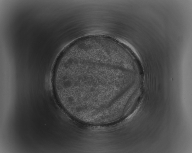 X0000100900783200807151117