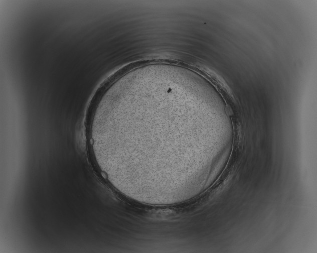 X0000100900784200807151117