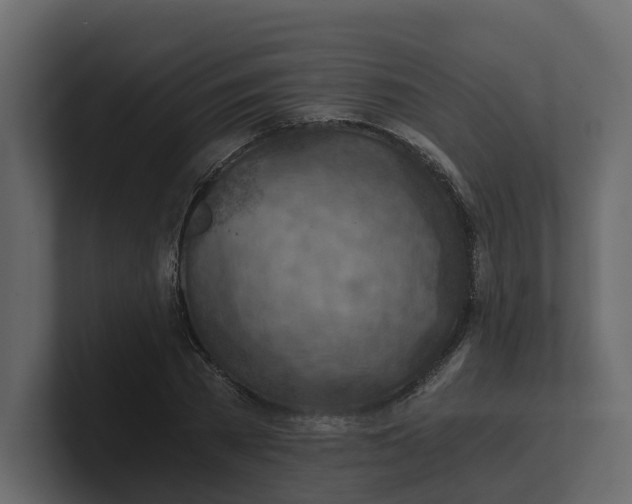 X0000100900785200807151117