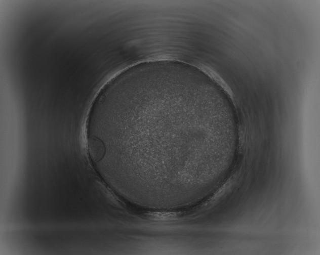 X0000100900789200807151117