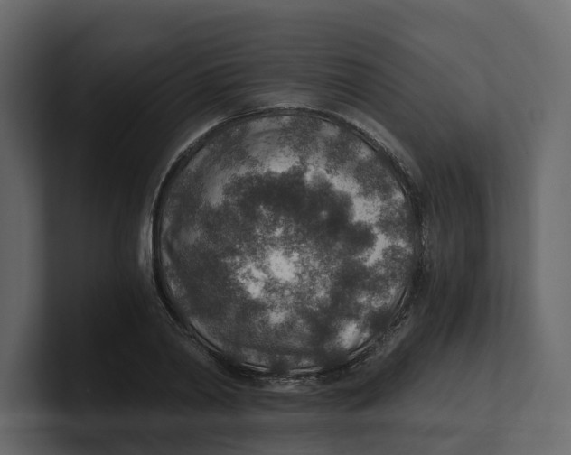 X0000100900790200807151117