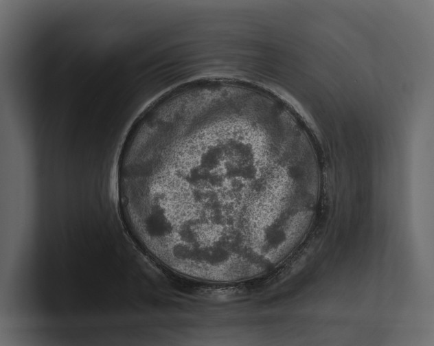 X0000100900791200807151117