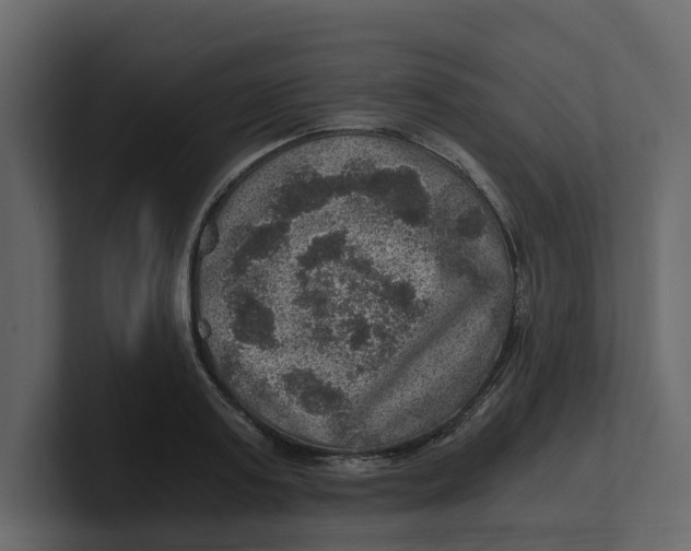 X0000100900795200807151117