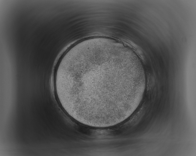 X0000100900796200807151117