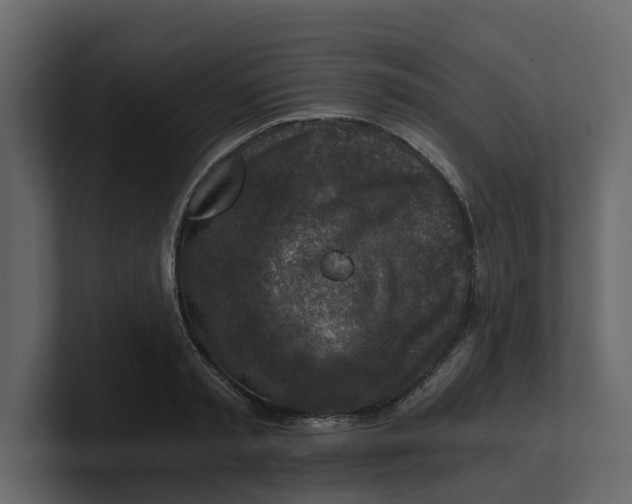 X0000100900797200807151117