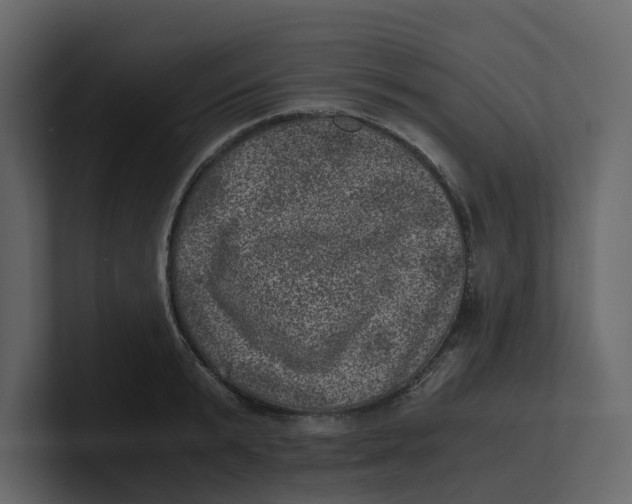 X0000100900799200807151117