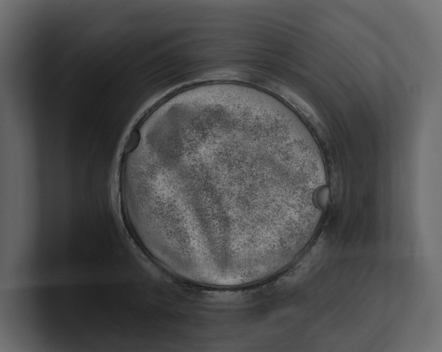 X0000100900800200807151117