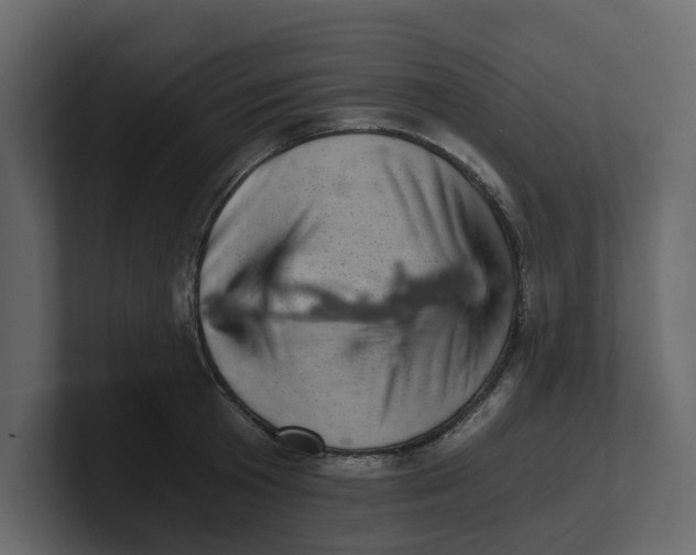 X0000100900801200807151117