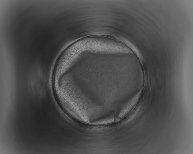 X0000100900803200807151117