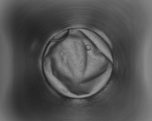 X0000100900805200807151117