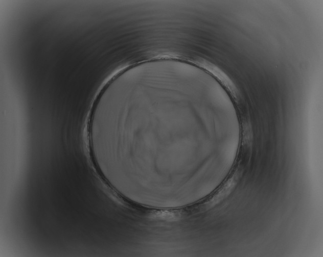 X0000100900806200807151117