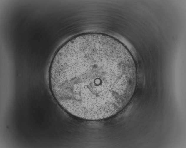 X0000100900807200807151117