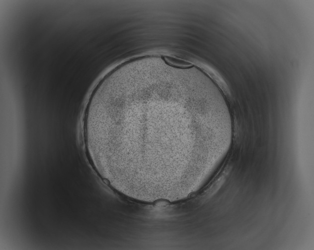 X0000100900808200807151117