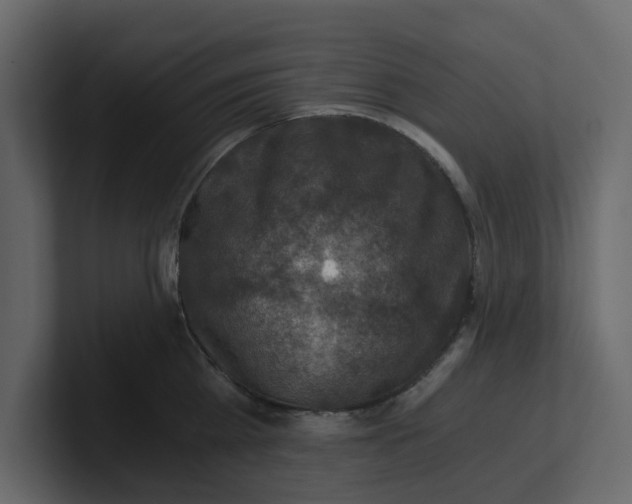 X0000100900809200807151117