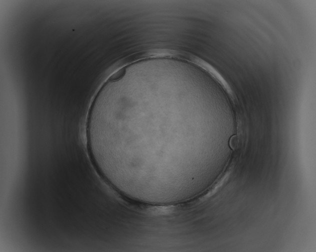 X0000100900810200807151117