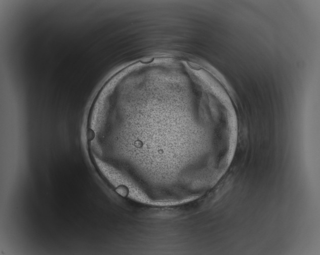 X0000100900811200807151117