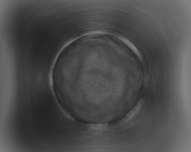 X0000100900813200807151117