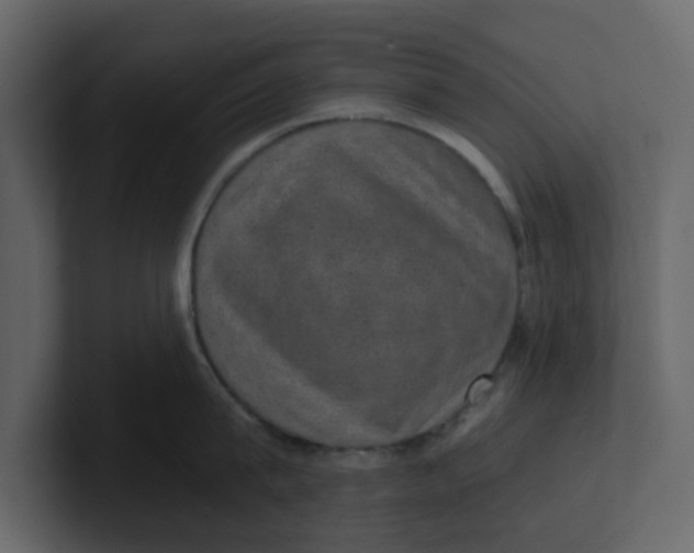 X0000100900815200807151116