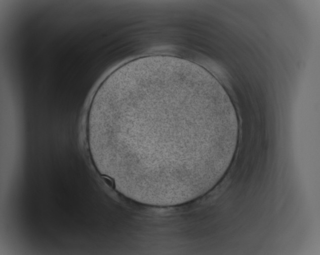 X0000100900816200807151116