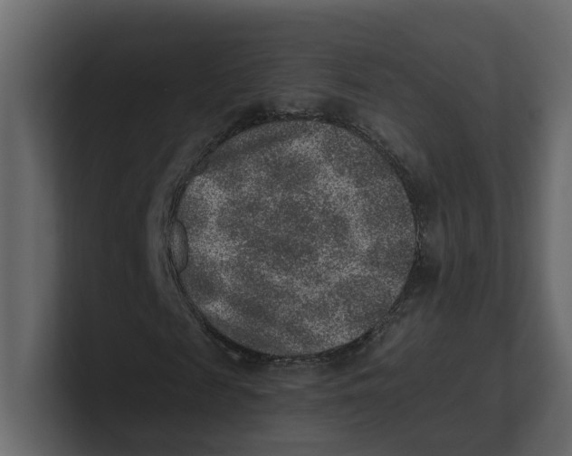 X0000100900817200807151116