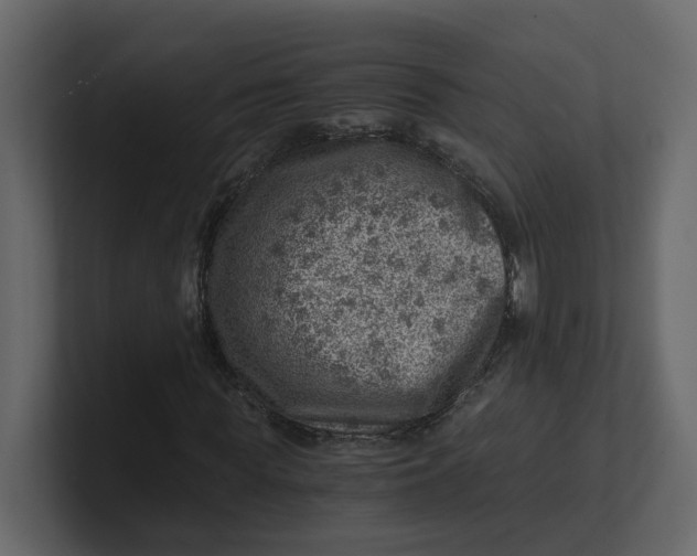 X0000100900819200807151116