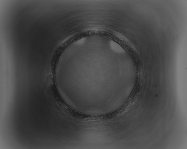 X0000100900822200807151116