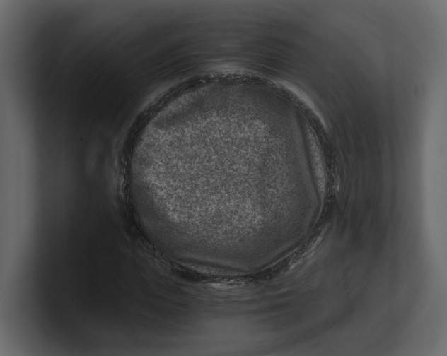 X0000100900823200807151116