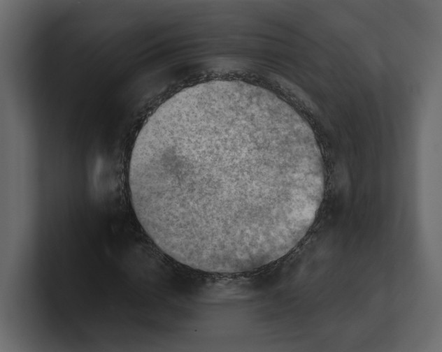 X0000100900824200807151116