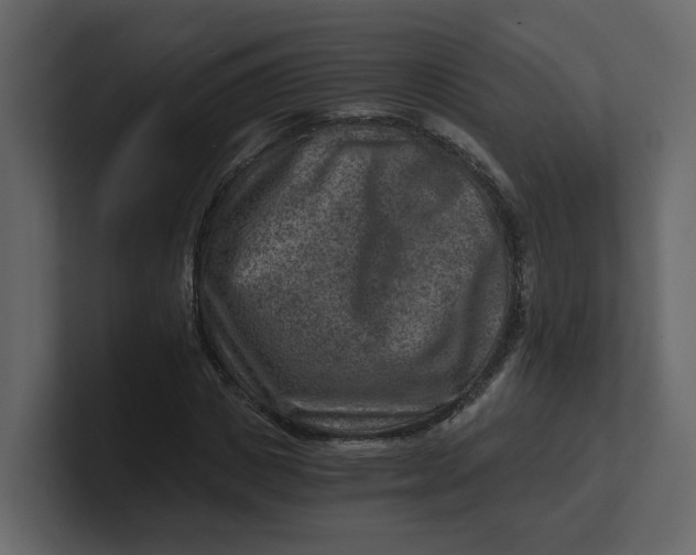 X0000100900825200807151116