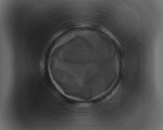 X0000100900826200807151116