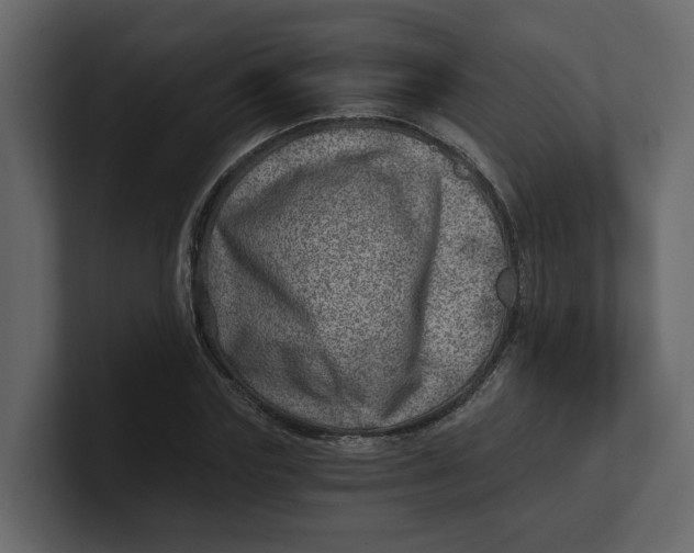 X0000100900827200807151116