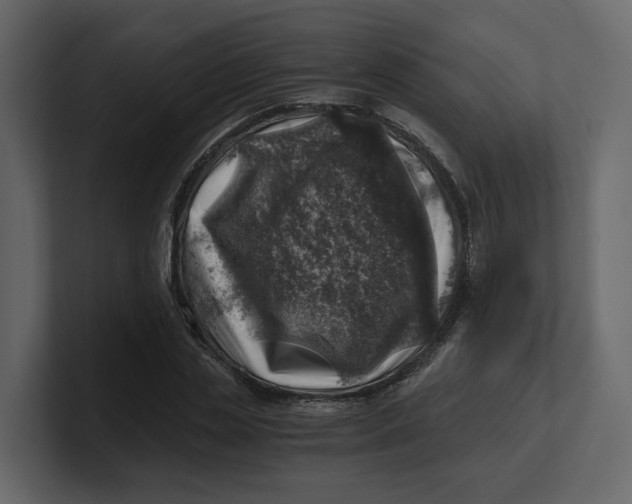 X0000100900829200807151116