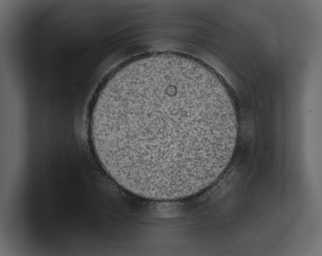 X0000100900832200807151116