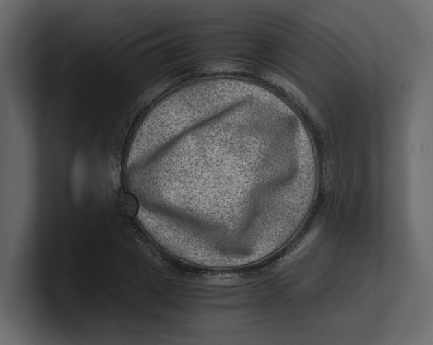 X0000100900833200807151116