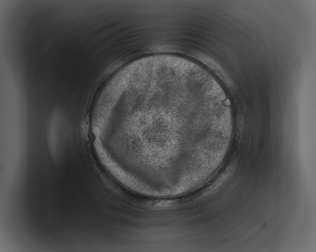 X0000100900841200807151116