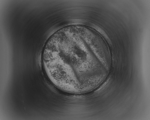 X0000100900842200807151116