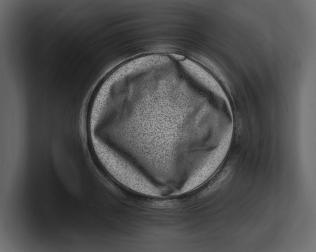 X0000100900843200807151116