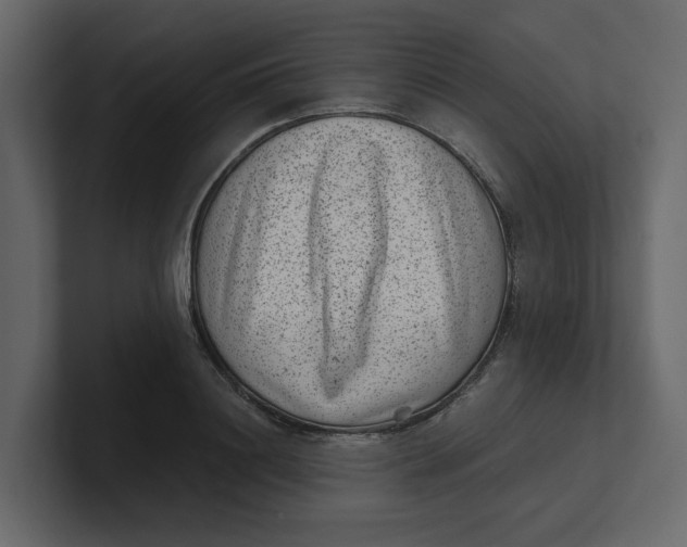 X0000100900844200807151116