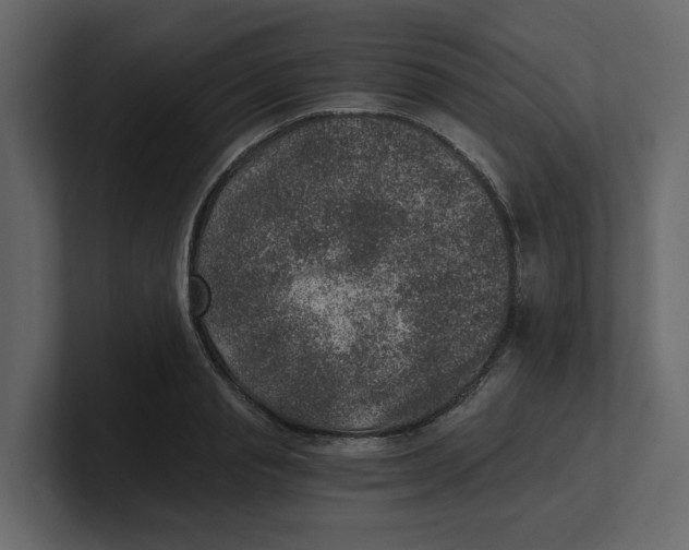 X0000100900845200807151116